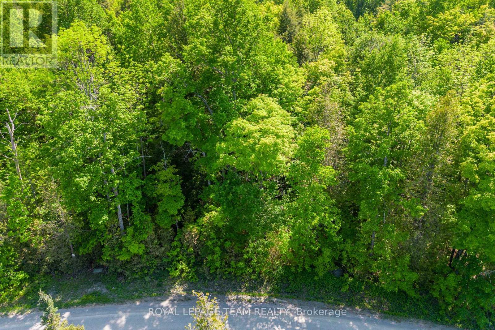 01 Mink Lake Road, North Algona Wilberforce, Ontario  K0J 1T0 - Photo 10 - X12647946