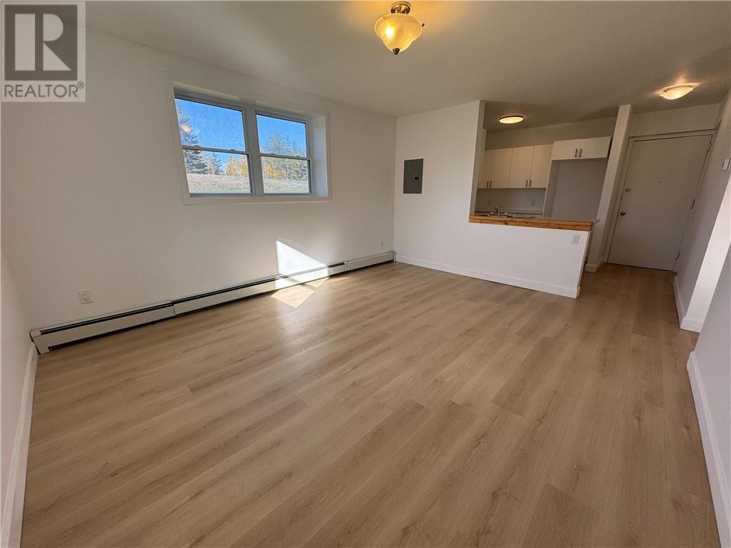 101 Service Road Unit# 1, Onaping, Ontario  P0M 2R0 - Photo 5 - 2125894