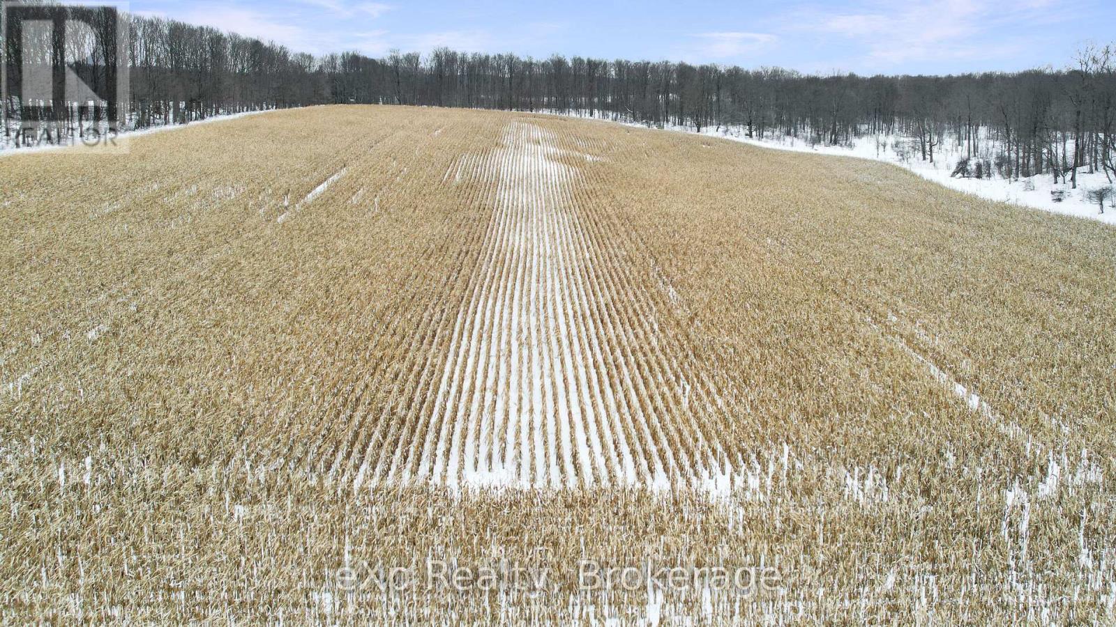 063036 Sunny Valley Road, Meaford, Ontario  N4K 5N6 - Photo 11 - X12648078