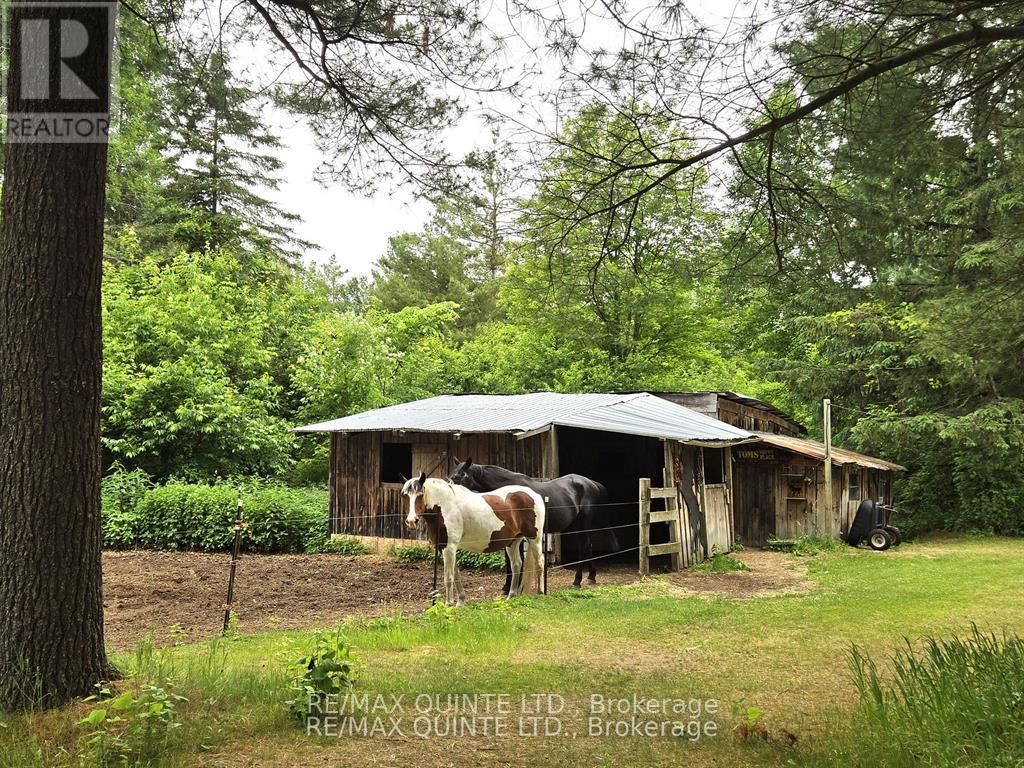 690 Potter Settlement Road, Tweed, Ontario  K0K 3J0 - Photo 44 - X12383582