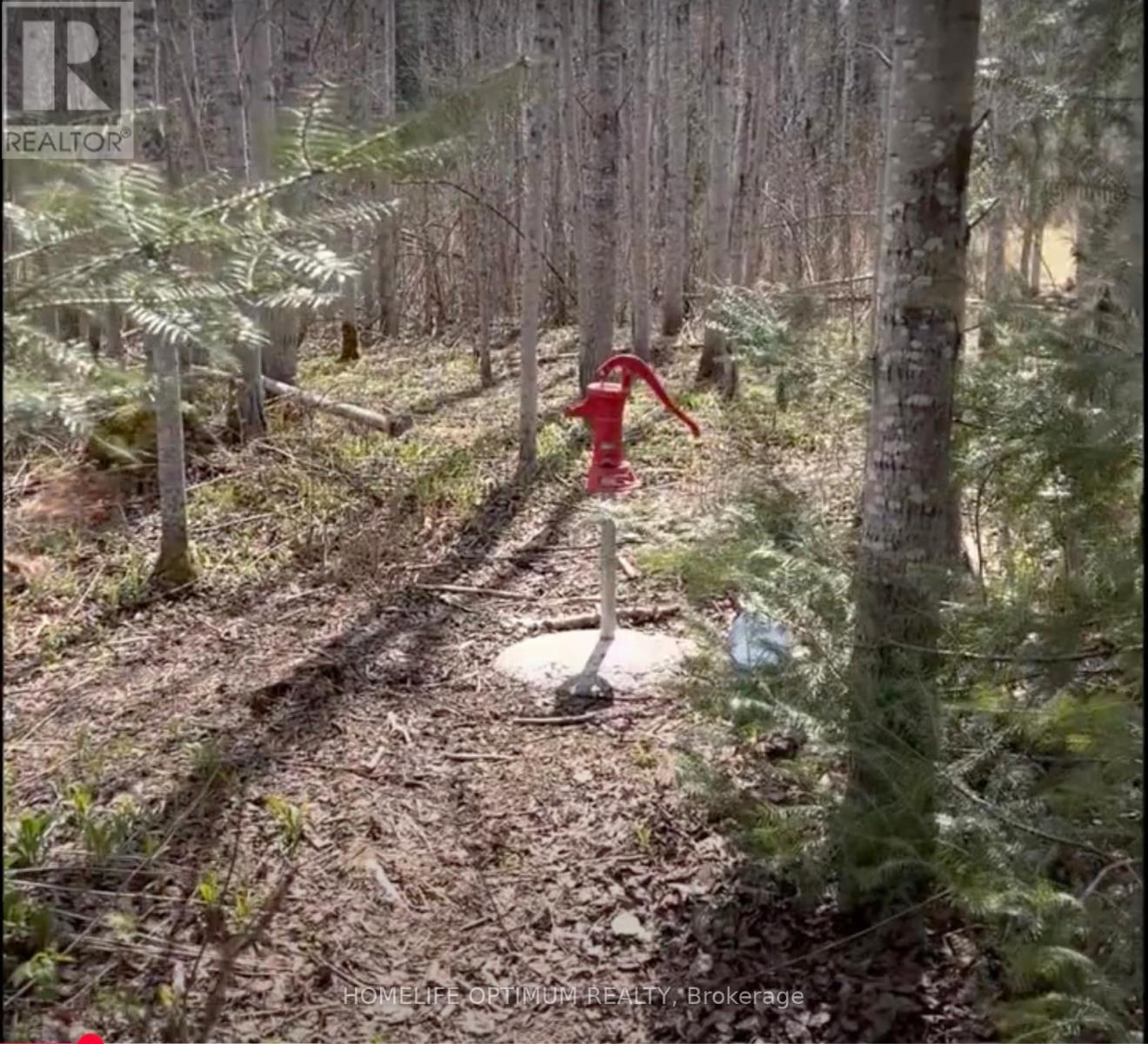 Pcl3840 N/a, Cochrane, Ontario  P0L 1C0 - Photo 19 - T12648056