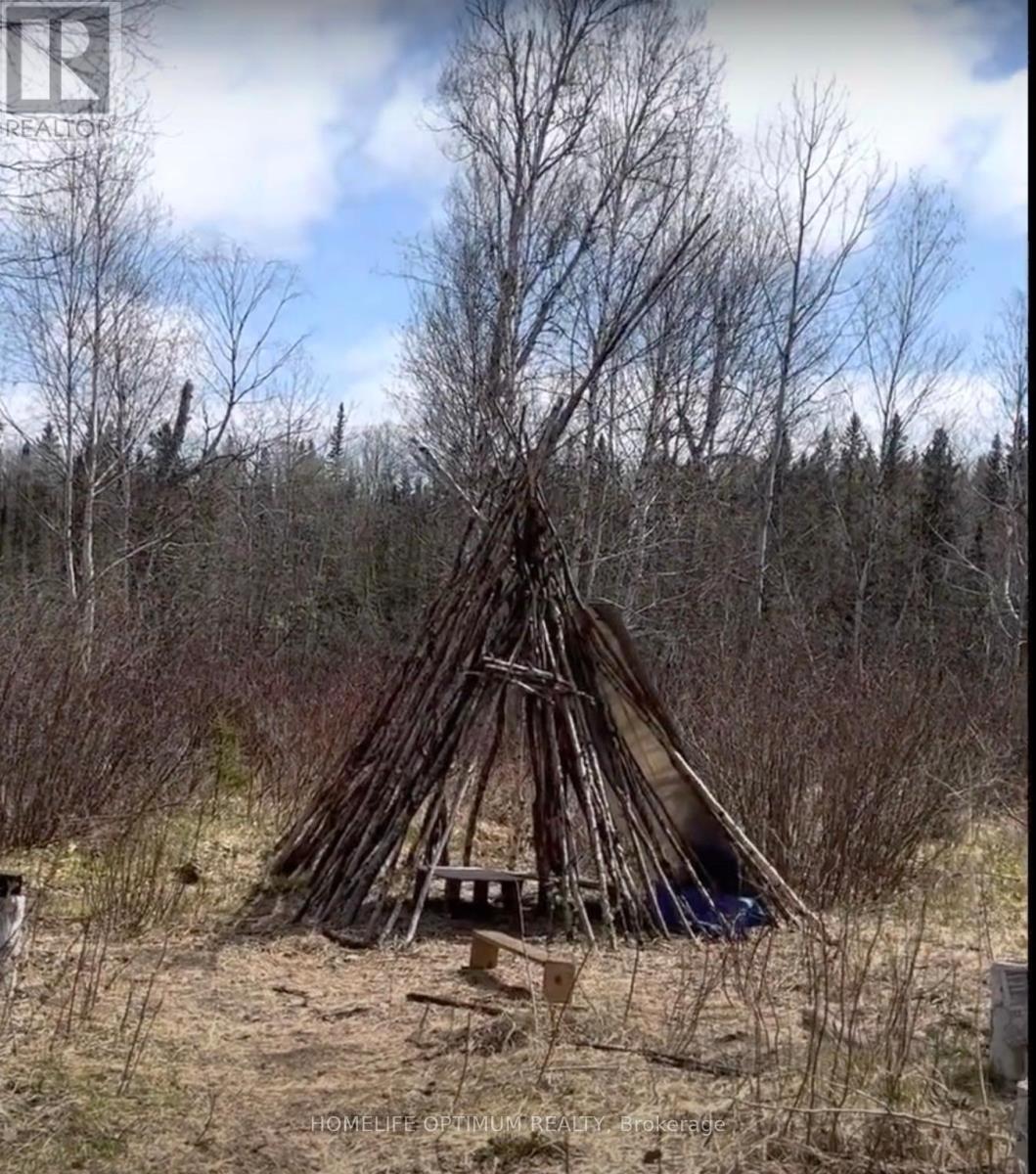 Pcl3840 N/a, Cochrane, Ontario  P0L 1C0 - Photo 13 - T12648060