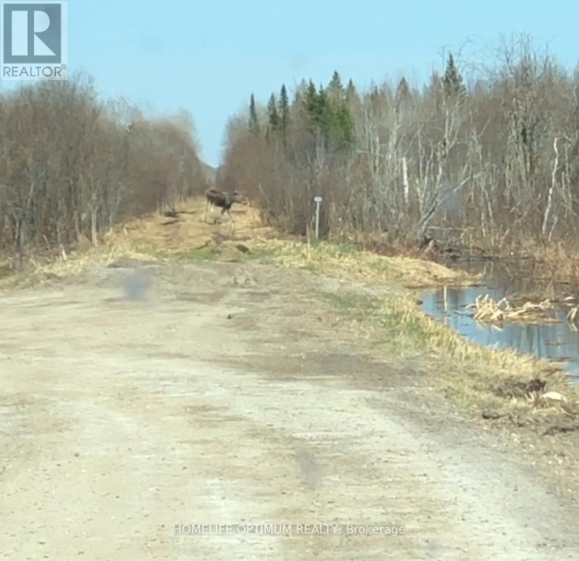 Pcl3840 N/a, Cochrane, Ontario  P0L 1C0 - Photo 5 - T12648060