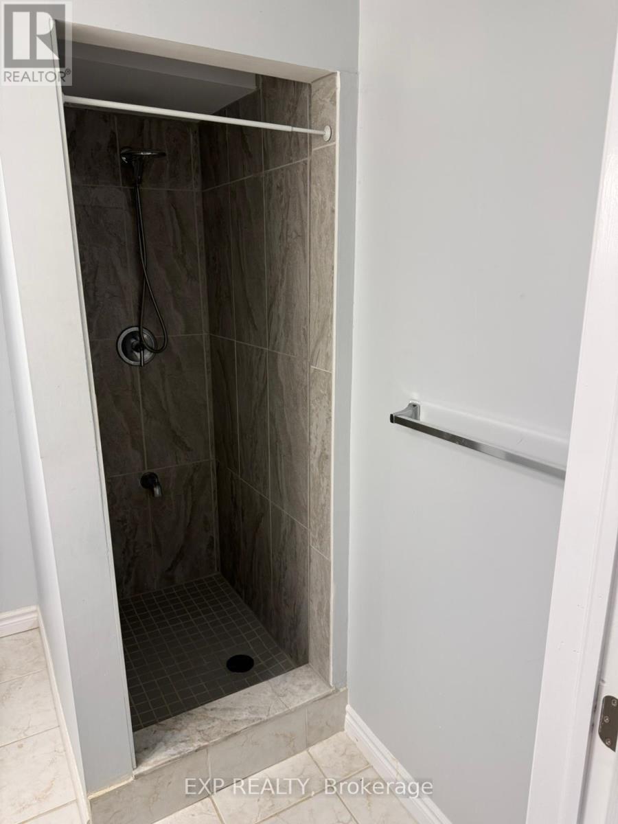 Bsmnt - 124 Tanoak Drive, London North, Ontario  N6G 5R3 - Photo 14 - X12648120