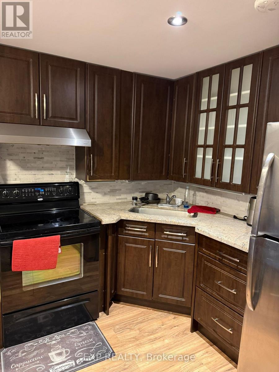 Bsmnt - 124 Tanoak Drive, London North, Ontario  N6G 5R3 - Photo 7 - X12648120