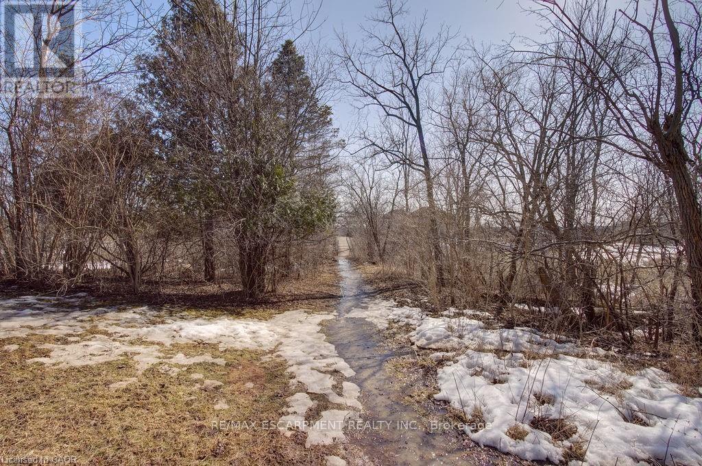 5 Homestead Avenue, Hamilton, Ontario  L9H 5Y6 - Photo 7 - X12648158