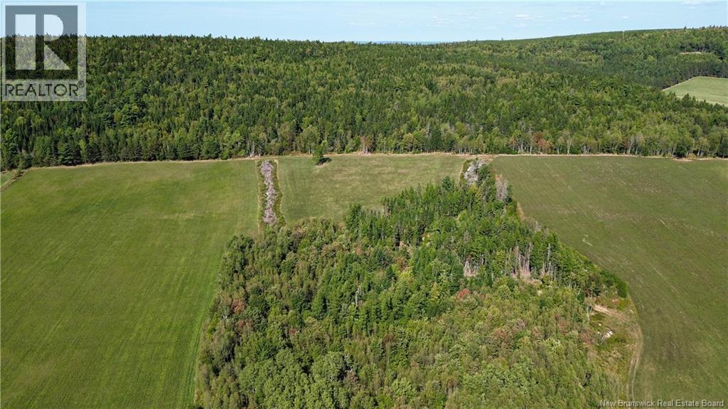 1173 Portage Vale Road, Portage Vale, New Brunswick  E4Z 3C8 - Photo 47 - NB131471