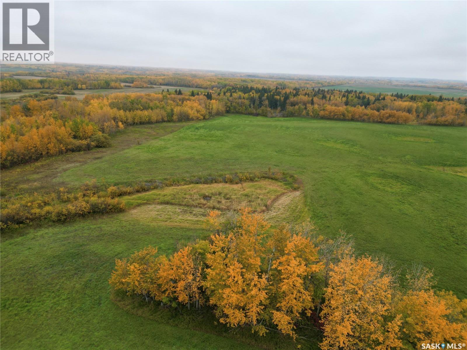 Larson Lake Ranch & Lakefront Property, Spiritwood Rm No. 496, Saskatchewan  S0J 2M0 - Photo 36 - SK025878