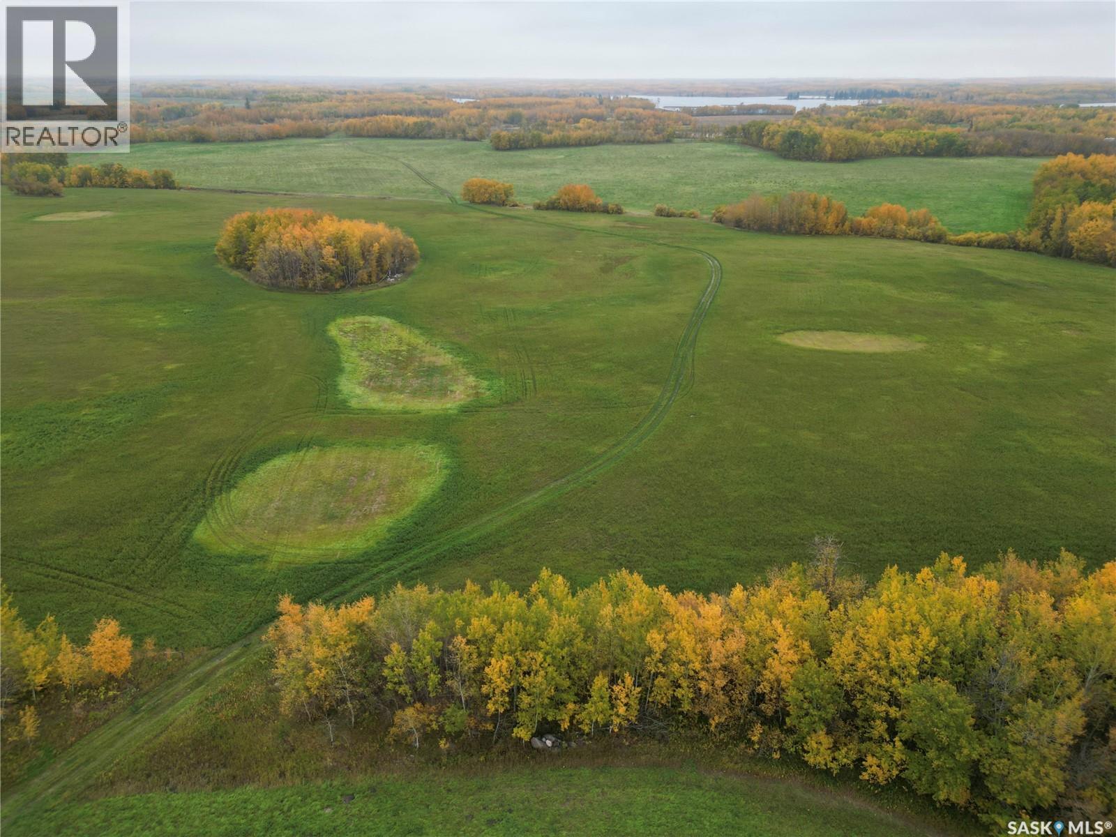 Larson Lake Ranch & Lakefront Property, Spiritwood Rm No. 496, Saskatchewan  S0J 2M0 - Photo 41 - SK025878