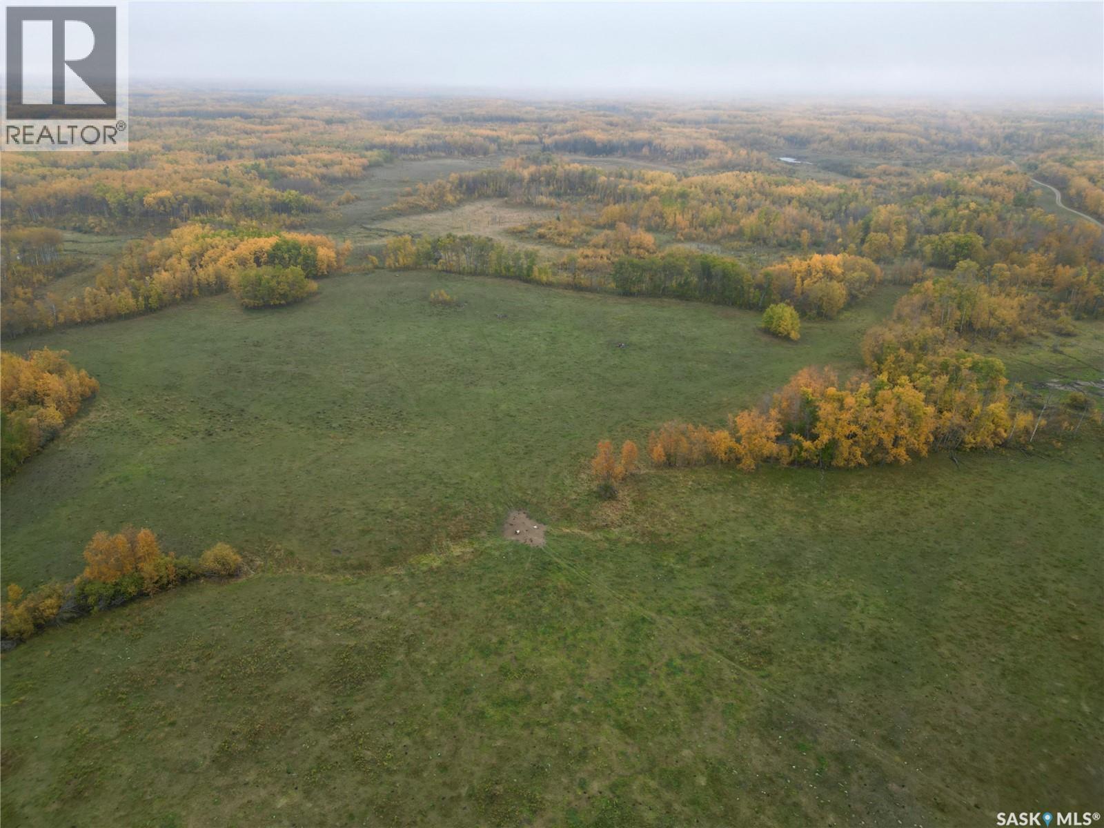 Larson Lake Ranch & Lakefront Property, Spiritwood Rm No. 496, Saskatchewan  S0J 2M0 - Photo 42 - SK025878