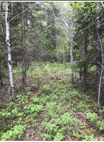 75.25 Acres Pcl4952 N/a, Cochrane, Ontario  P0K 1G0 - Photo 3 - T12648382