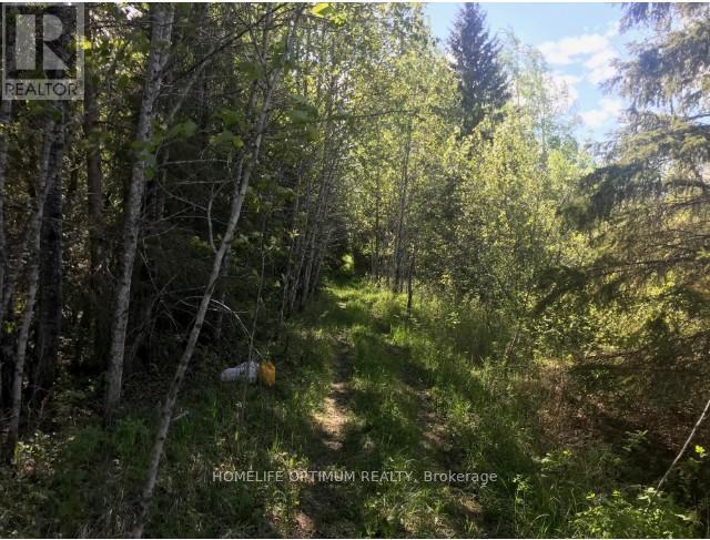 75.25 Acres Pcl4952 N/a, Cochrane, Ontario  P0K 1G0 - Photo 4 - T12648382