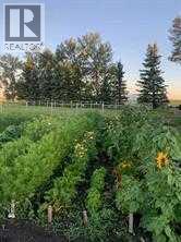 264169 Range Road 273, Kathyrn, Alberta  T0M 1E0 - Photo 6 - A2266846