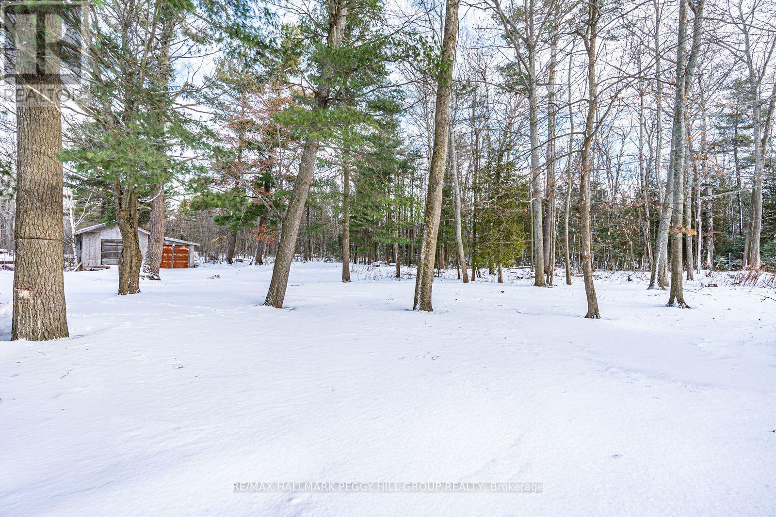 332 Baxter Loop Road, Georgian Bay, Ontario  L0K 1S0 - Photo 13 - X12648490