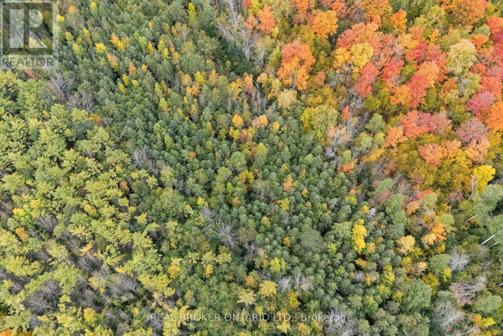 2099 County 20 Road, North Grenville, Ontario K0G 1T0 - Photo 45 - X12648632