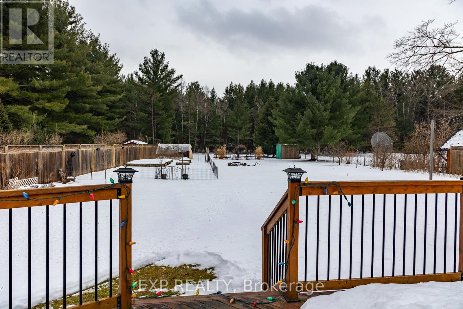 8245 Main Street, Adjala-Tosorontio, Ontario  L0M 1C0 - Photo 36 - N12648630