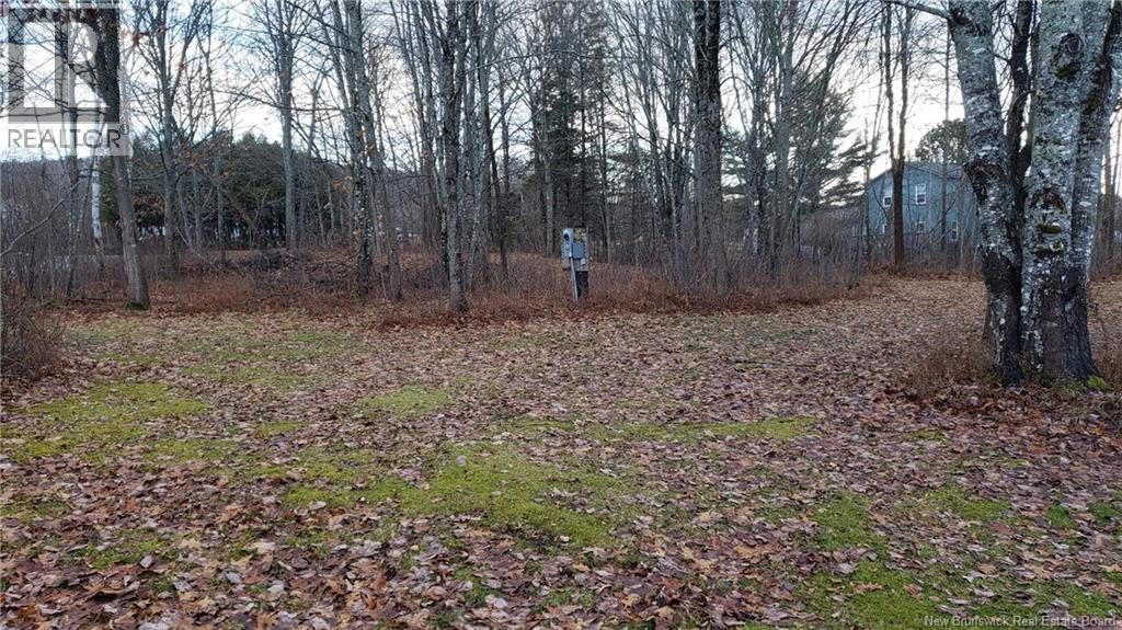 7 Drury Lane, Kiersteadville, New Brunswick E5T 3M5 - Photo 38 - NB131439