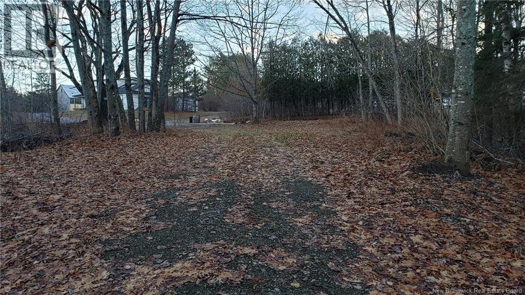 7 Drury Lane, Kiersteadville, New Brunswick E5T 3M5 - Photo 40 - NB131439