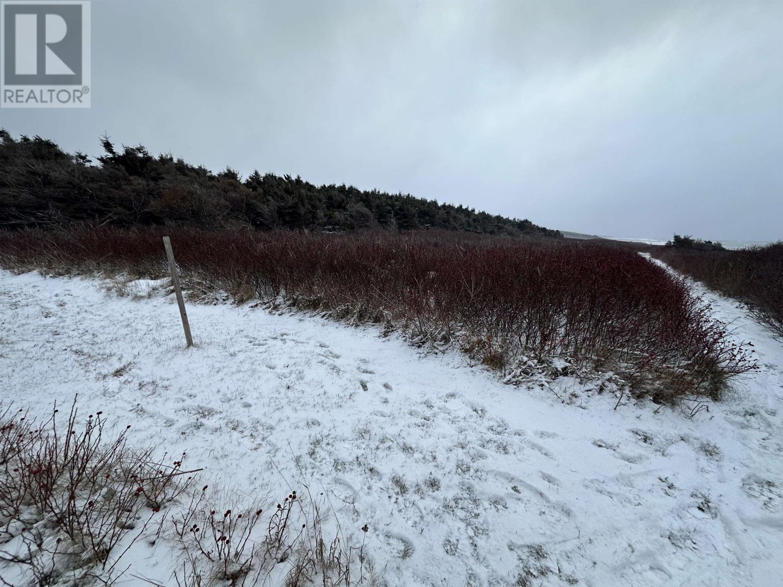 Lot 2 Shipwreck Lane, Naufrage, Prince Edward Island  C0A 2B0 - Photo 4 - 202529685