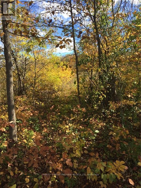 2707 Narrows Lock Road, Tay Valley, Ontario  K7H 3C5 - Photo 10 - X12648688