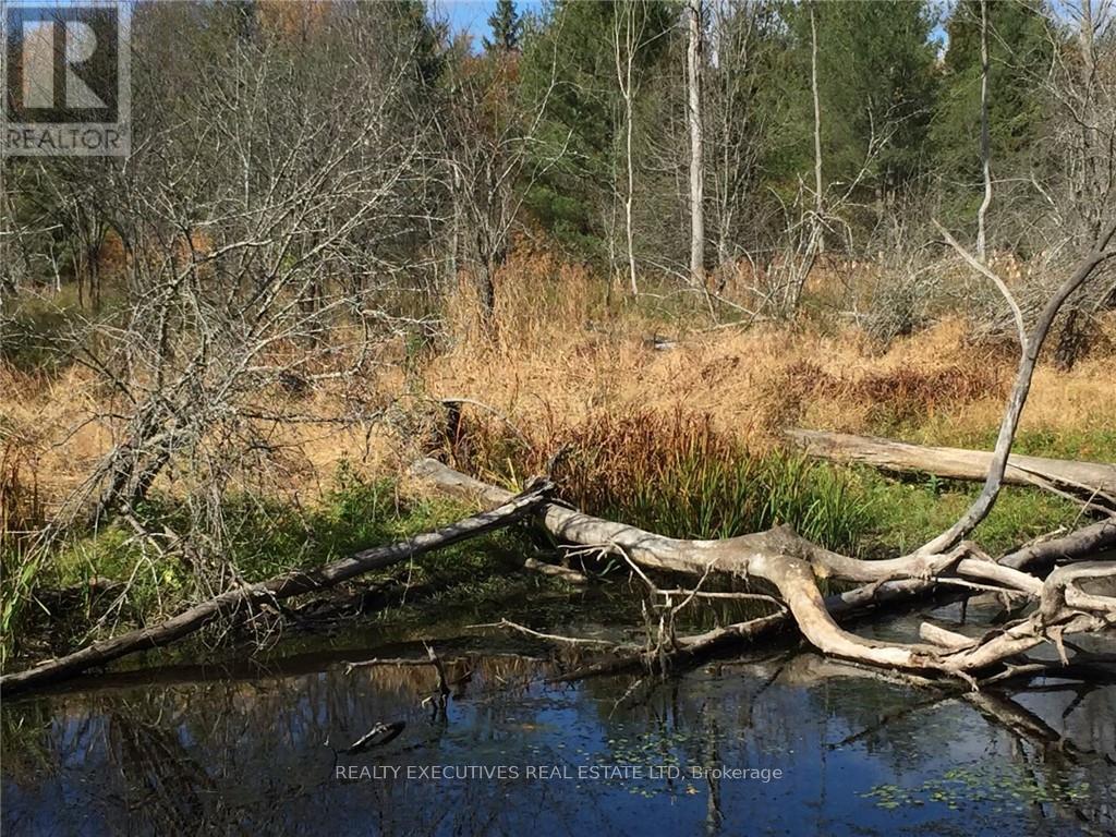 2707 Narrows Lock Road, Tay Valley, Ontario  K7H 3C5 - Photo 20 - X12648688