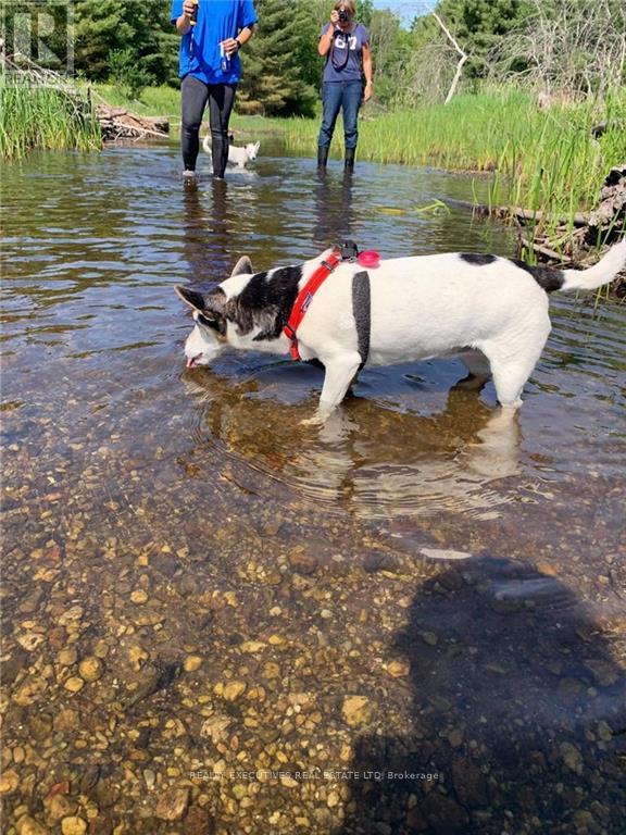 2707 Narrows Lock Road, Tay Valley, Ontario  K7H 3C5 - Photo 22 - X12648688