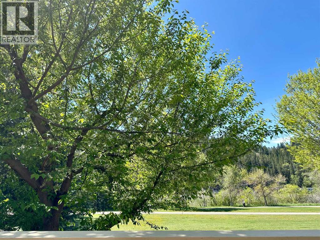 344 Point Mckay Gardens Nw, Calgary, Alberta  T3B 4V8 - Photo 30 - A2275896