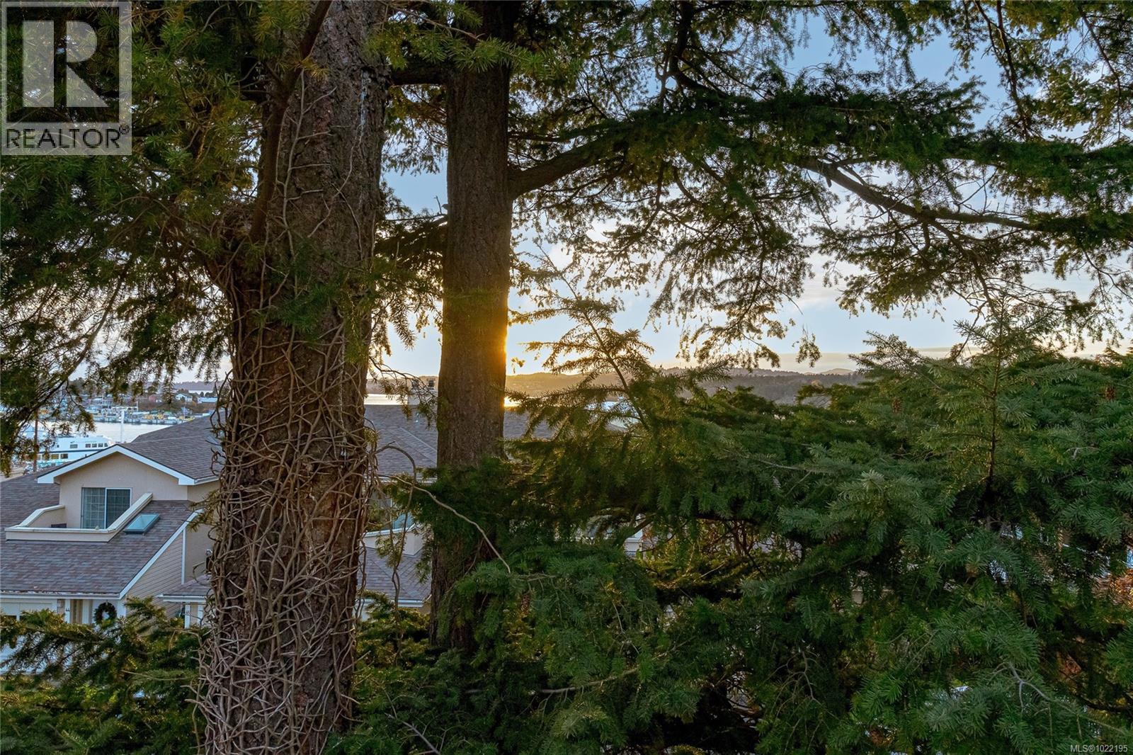 33 909 Admirals Rd, Esquimalt, British Columbia  V9A 2P1 - Photo 44 - 1022195