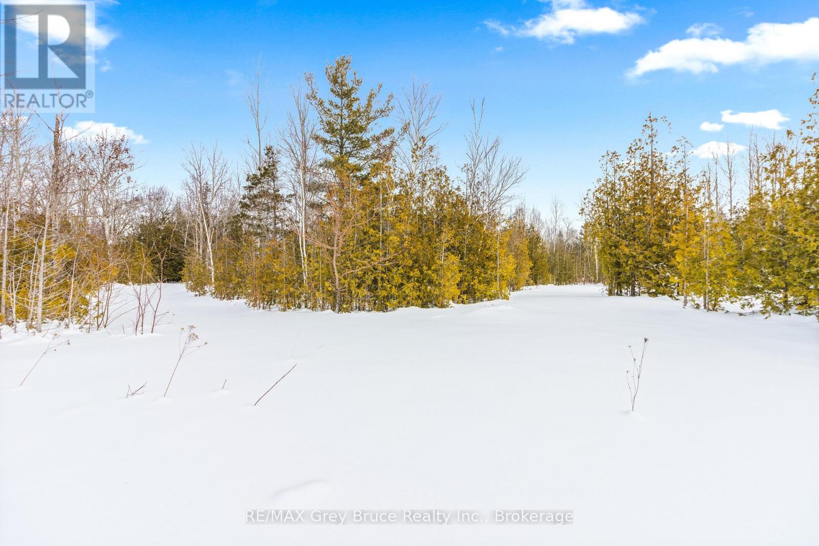 Pt 9/10 Highway 6, Northern Bruce Peninsula, Ontario  N0H 1Z0 - Photo 11 - X12648920