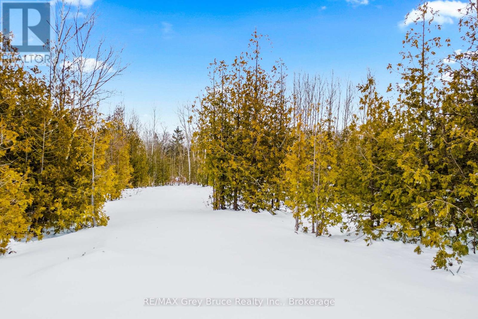 Pt 9/10 Highway 6, Northern Bruce Peninsula, Ontario  N0H 1Z0 - Photo 12 - X12648920