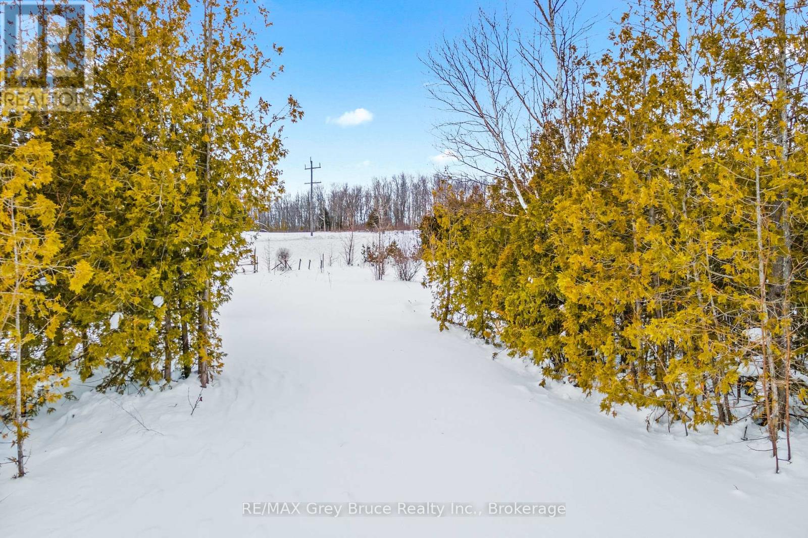 Pt 9/10 Highway 6, Northern Bruce Peninsula, Ontario  N0H 1Z0 - Photo 4 - X12648920