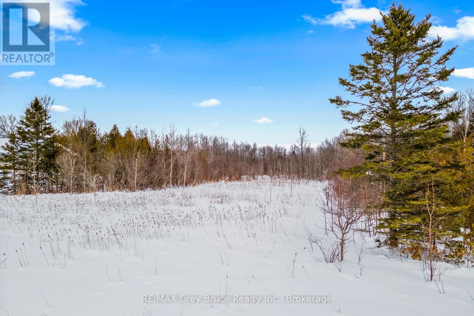 Pt 9/10 Highway 6, Northern Bruce Peninsula, Ontario  N0H 1Z0 - Photo 8 - X12648920