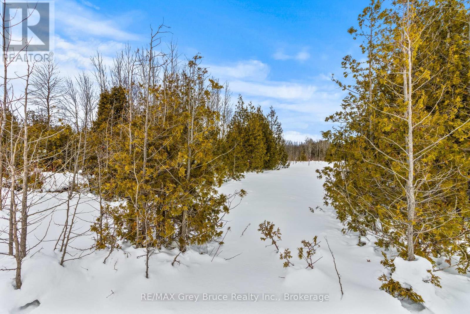Part 10 Highway 6, Northern Bruce Peninsula, Ontario  N0H 1Z0 - Photo 9 - X12648922