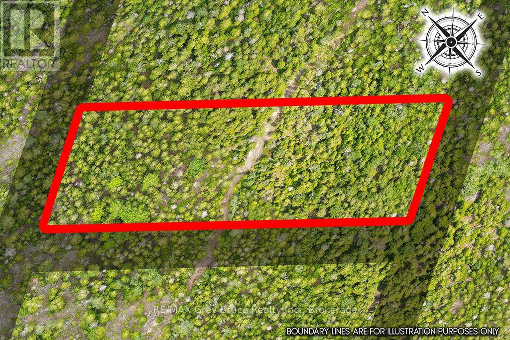 Lots 113-127 Victoria Street, Northern Bruce Peninsula, Ontario  N0H 2R0 - Photo 19 - X12648936