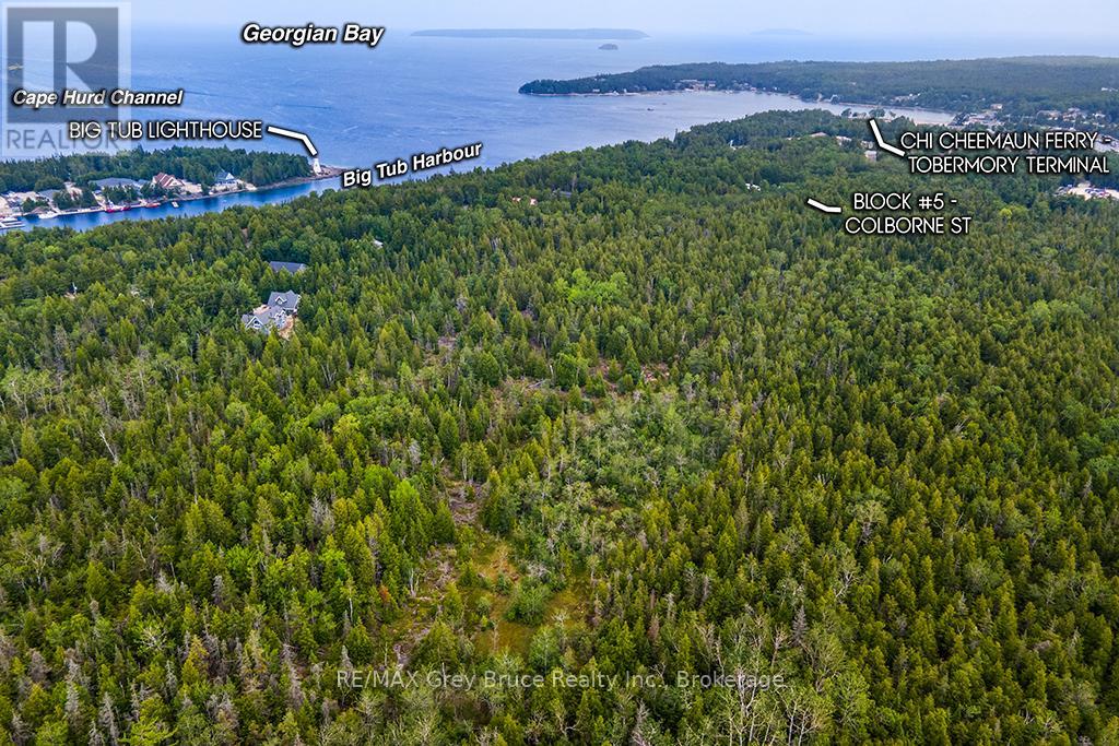 Lots 114, 116, 118, 120 Colborne Street, Northern Bruce Peninsula, Ontario  N0H 2R0 - Photo 12 - X12648940