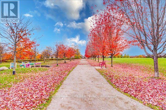 Bsmt - 84 Darren Avenue, Whitby, Ontario  L1R 0B4 - Photo 23 - E12648944