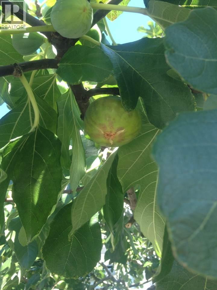 2825 Nash Drive, Coquitlam, British Columbia  V3B 6T1 - Photo 38 - R3067031