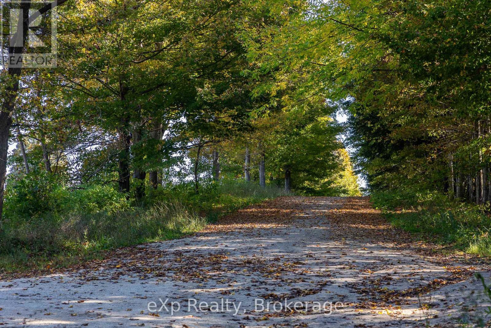 1/4 Lt3 Sideroad 3, Georgian Bluffs, Ontario  N0H 2N0 - Photo 11 - X12647448