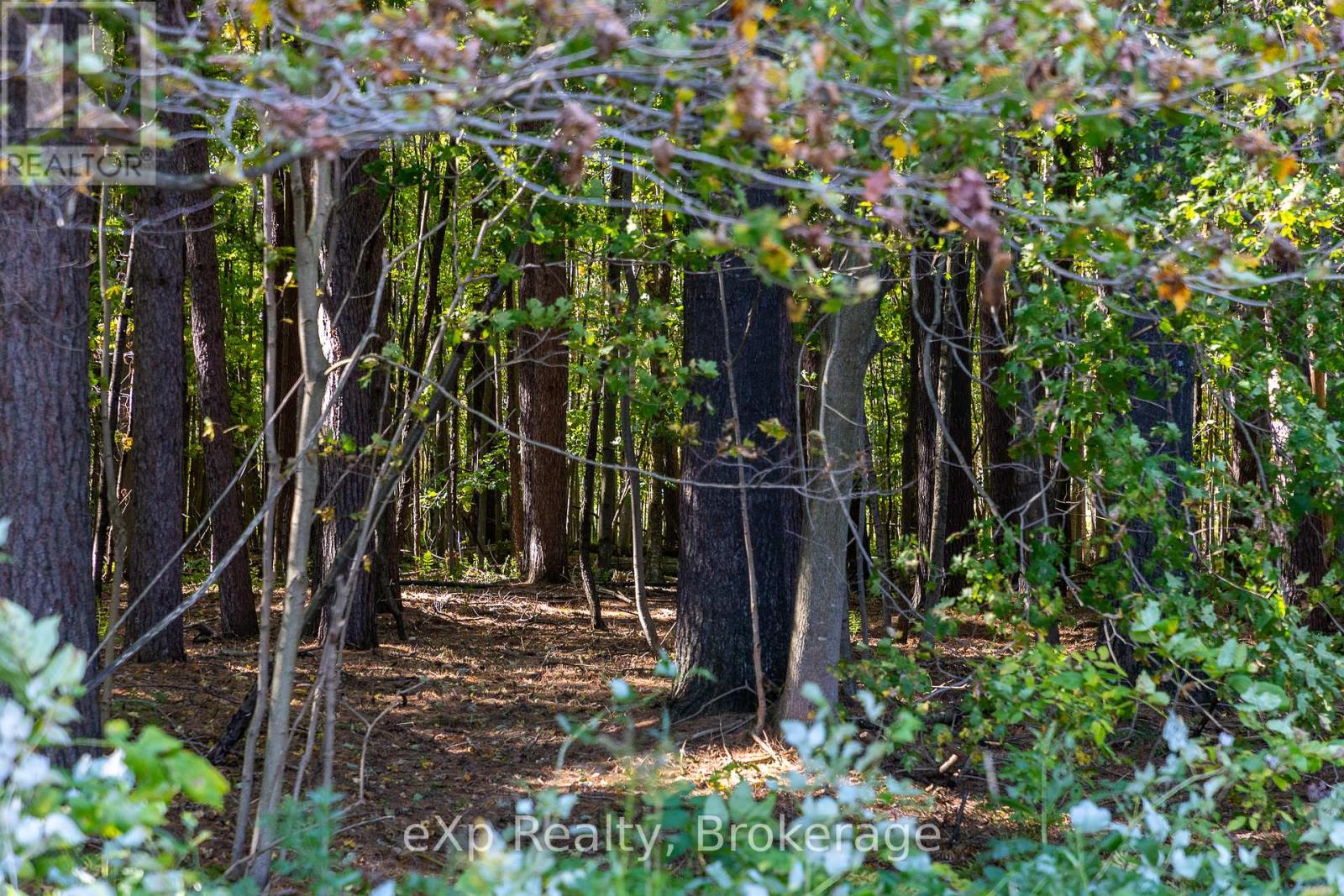 1/4 Lt3 Sideroad 3, Georgian Bluffs, Ontario  N0H 2N0 - Photo 14 - X12647448