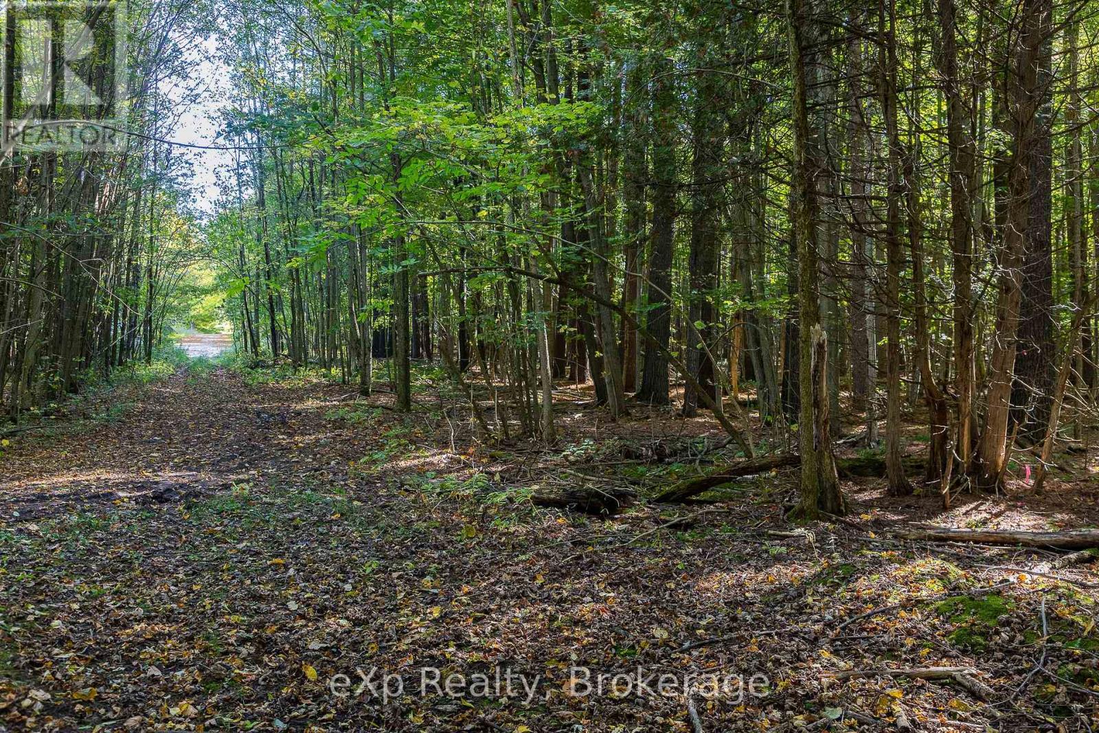 1/4 Lt3 Sideroad 3, Georgian Bluffs, Ontario  N0H 2N0 - Photo 15 - X12647448