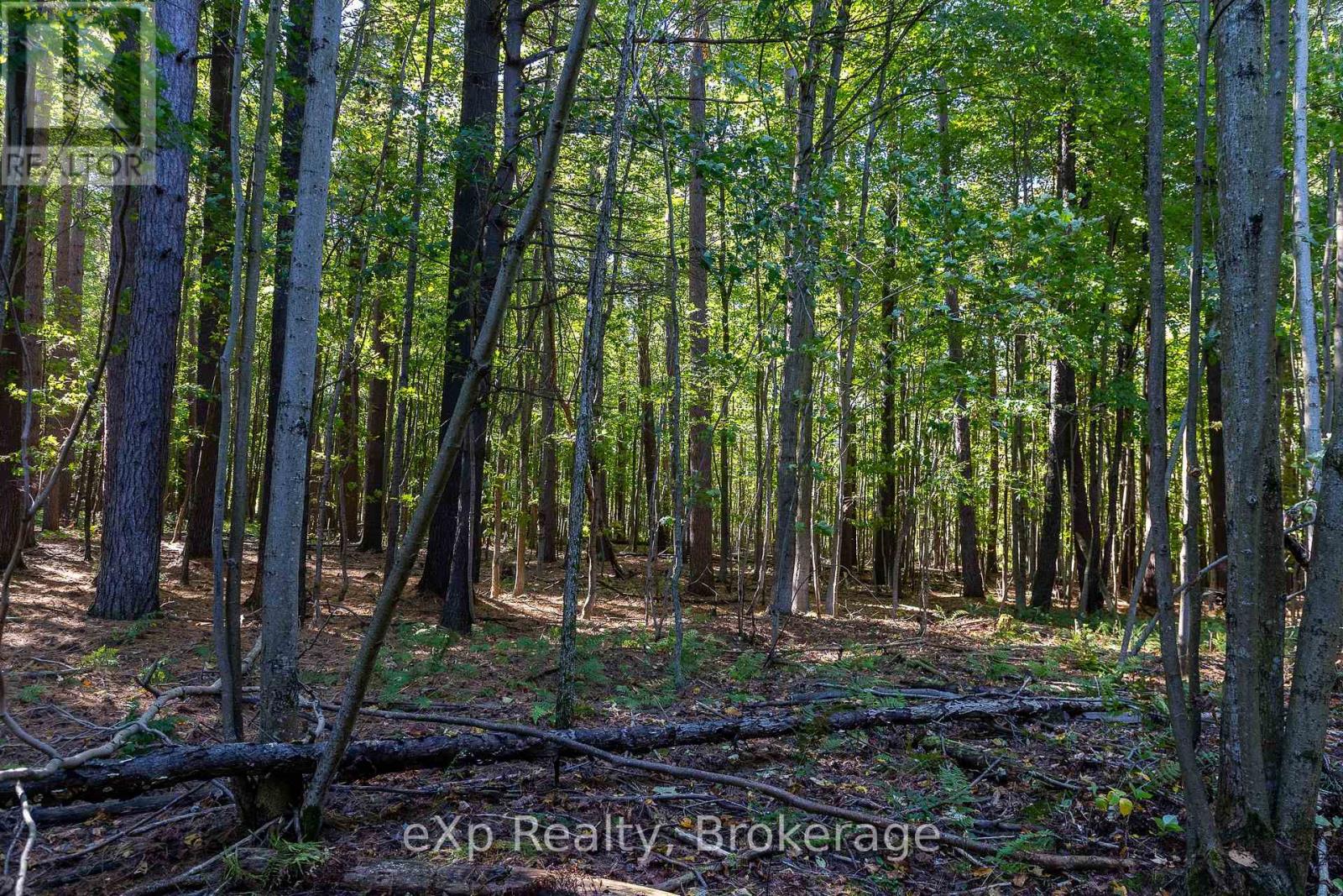 1/4 Lt3 Sideroad 3, Georgian Bluffs, Ontario  N0H 2N0 - Photo 17 - X12647448