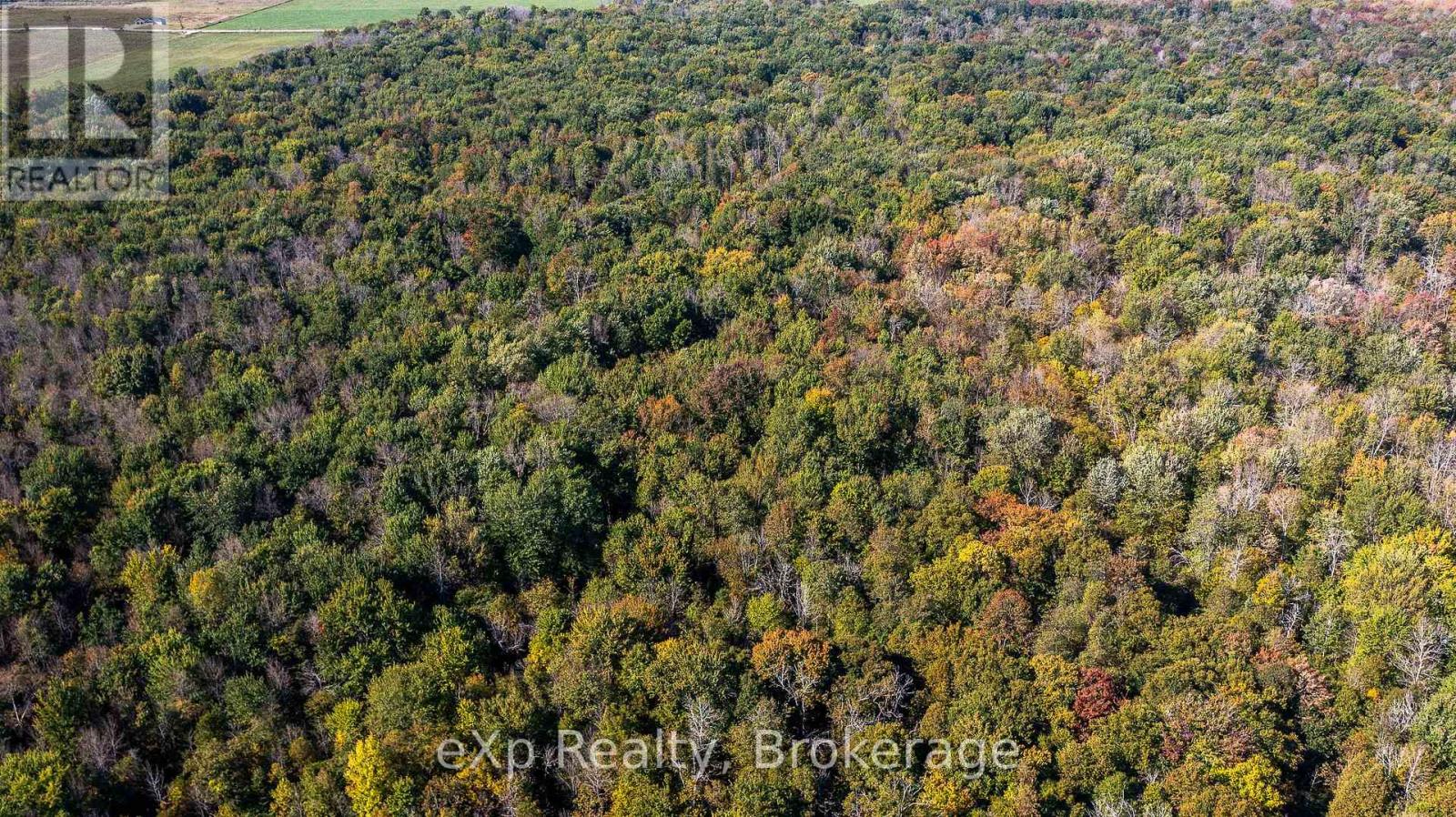 1/4 Lt3 Sideroad 3, Georgian Bluffs, Ontario  N0H 2N0 - Photo 6 - X12647448