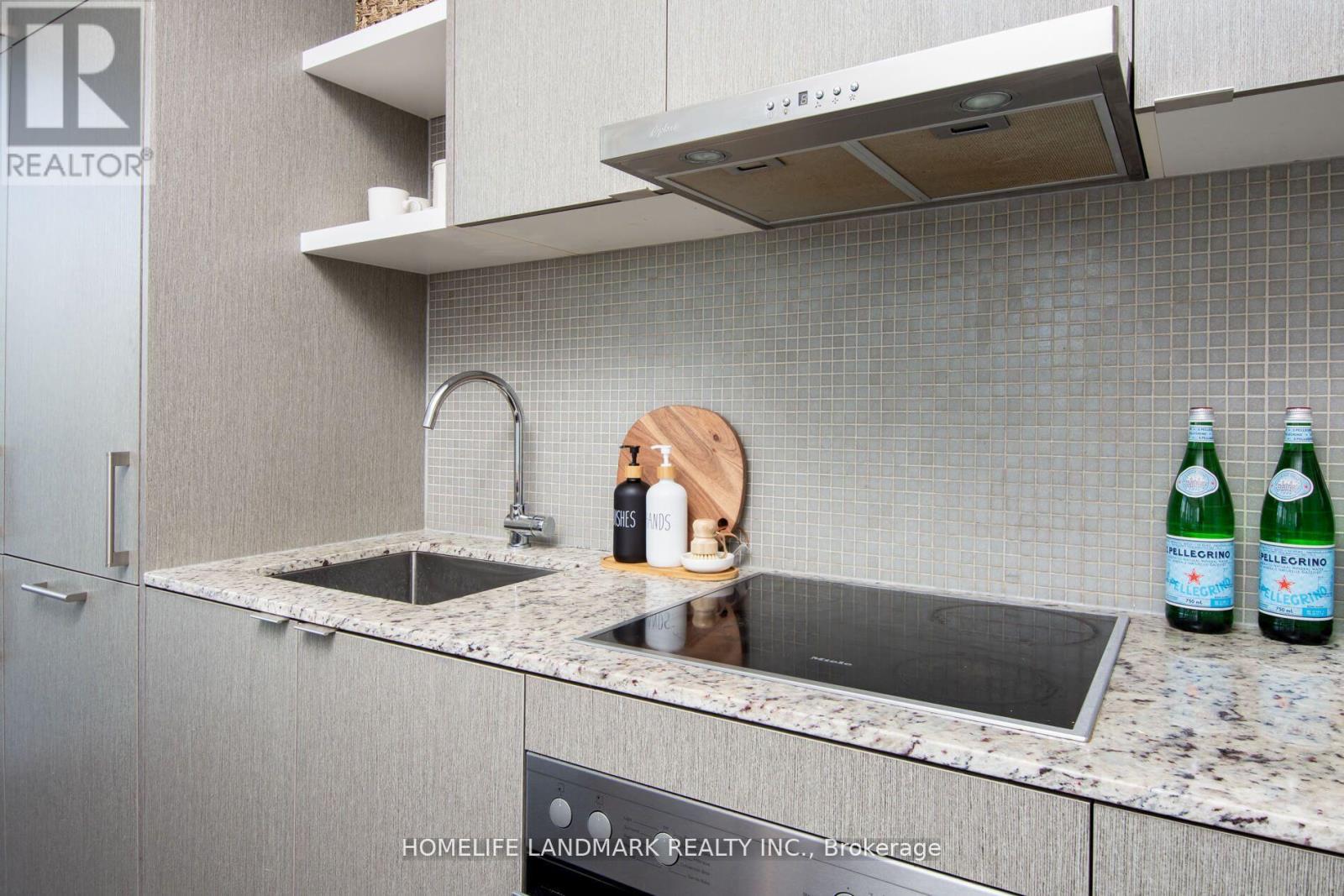 5602 - 100 Harbour Street, Toronto, Ontario  M5J 0B5 - Photo 6 - C12649048