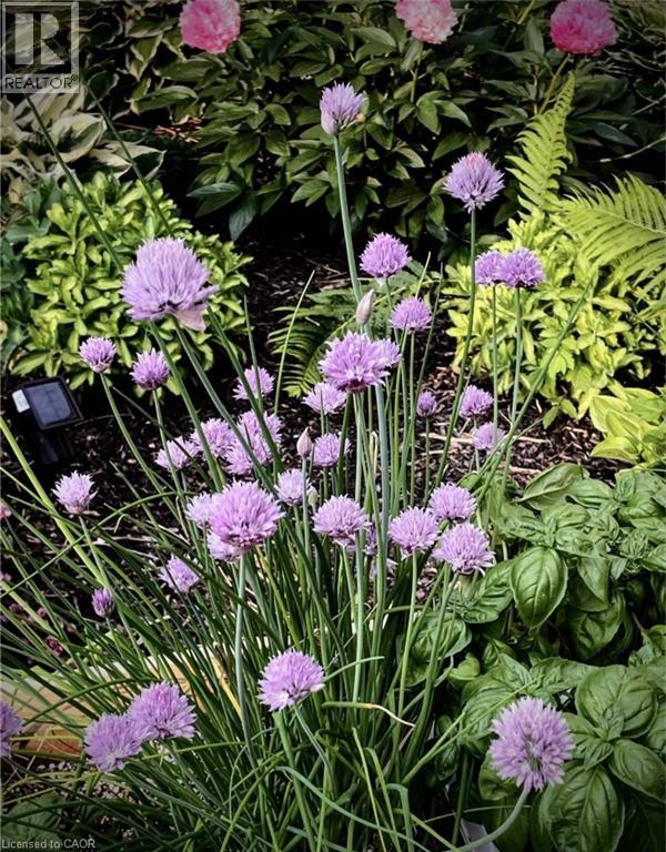 245 John Rosa Street E, Listowel, Ontario  N4W 2H3 - Photo 11 - 40792360