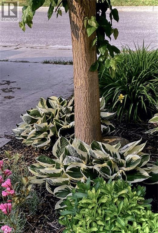 245 John Rosa Street E, Listowel, Ontario  N4W 2H3 - Photo 12 - 40792360