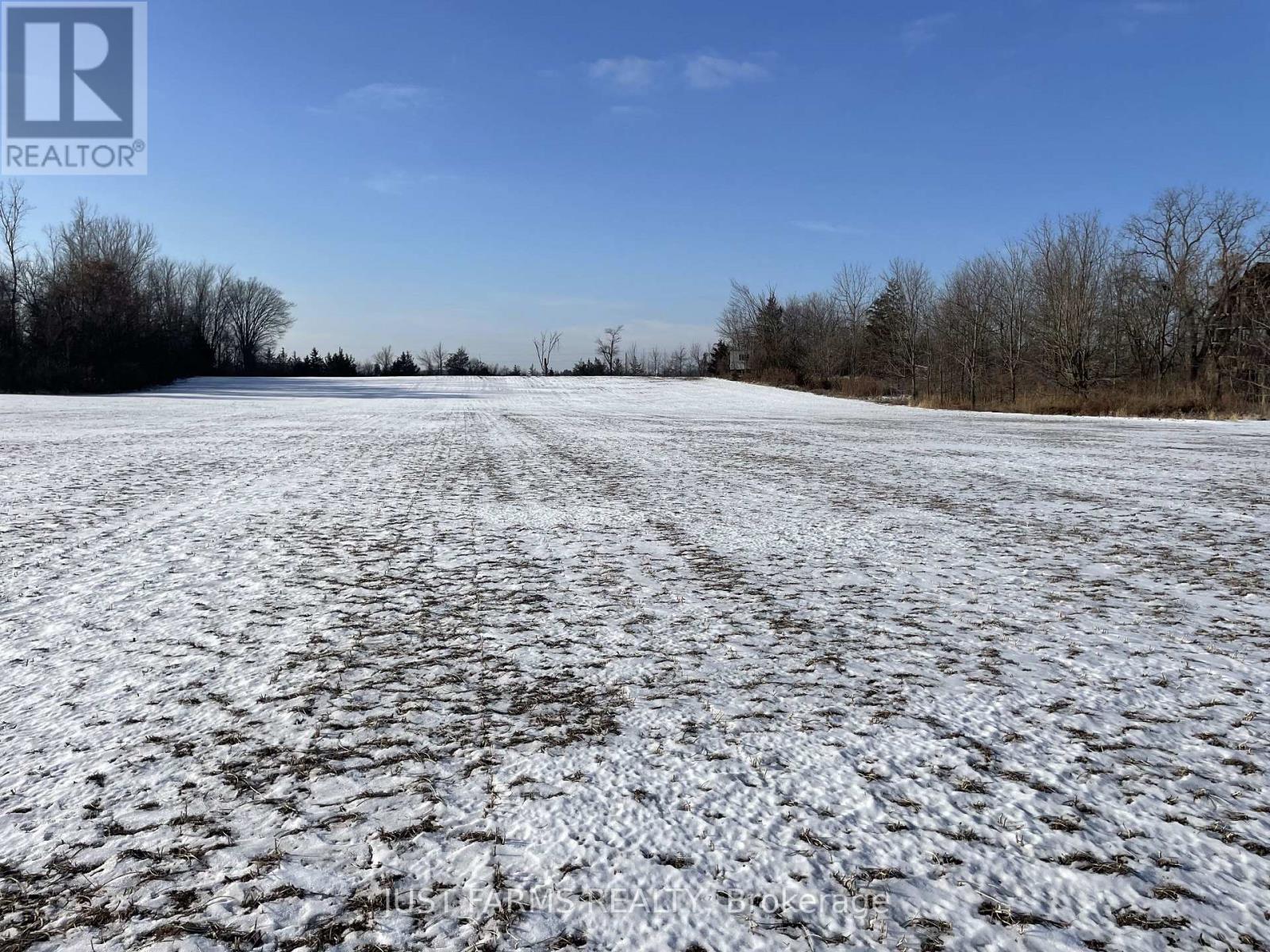 20047 Base Road, Chatham-Kent, Ontario  N0P 1A0 - Photo 9 - X12649122
