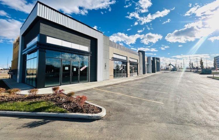 1139  103a Street Sw, Edmonton, Alberta  T6W 2P6 - Photo 15 - 43690837