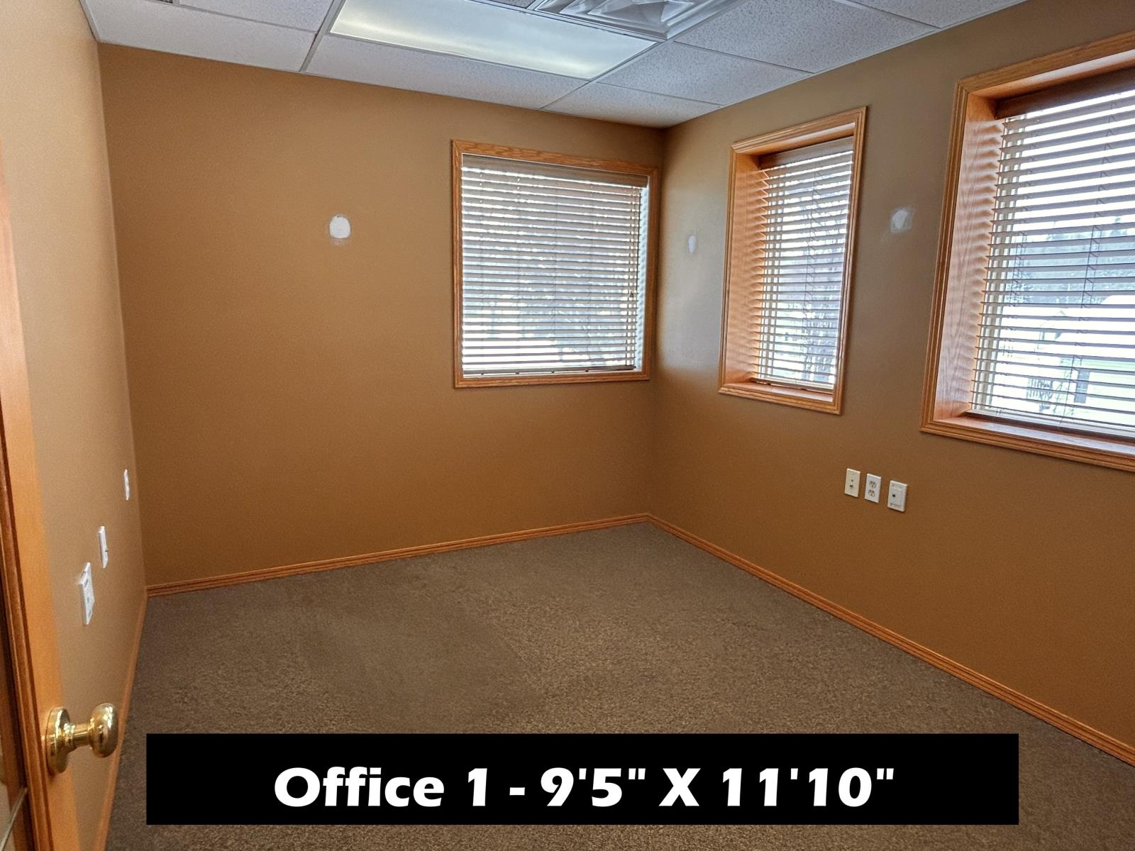 4801  49 Street, Athabasca Town, Alberta  T9S 1C4 - Photo 6 - 43691043