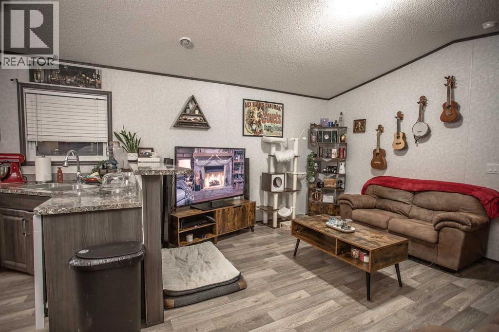 17 Driftwood Drive, High Level, Alberta  T0H 1Z0 - Photo 8 - A2275284