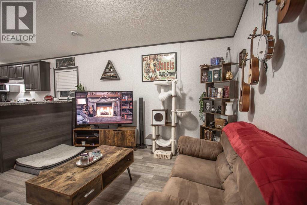 17 Driftwood Drive, High Level, Alberta  T0H 1Z0 - Photo 3 - A2275284